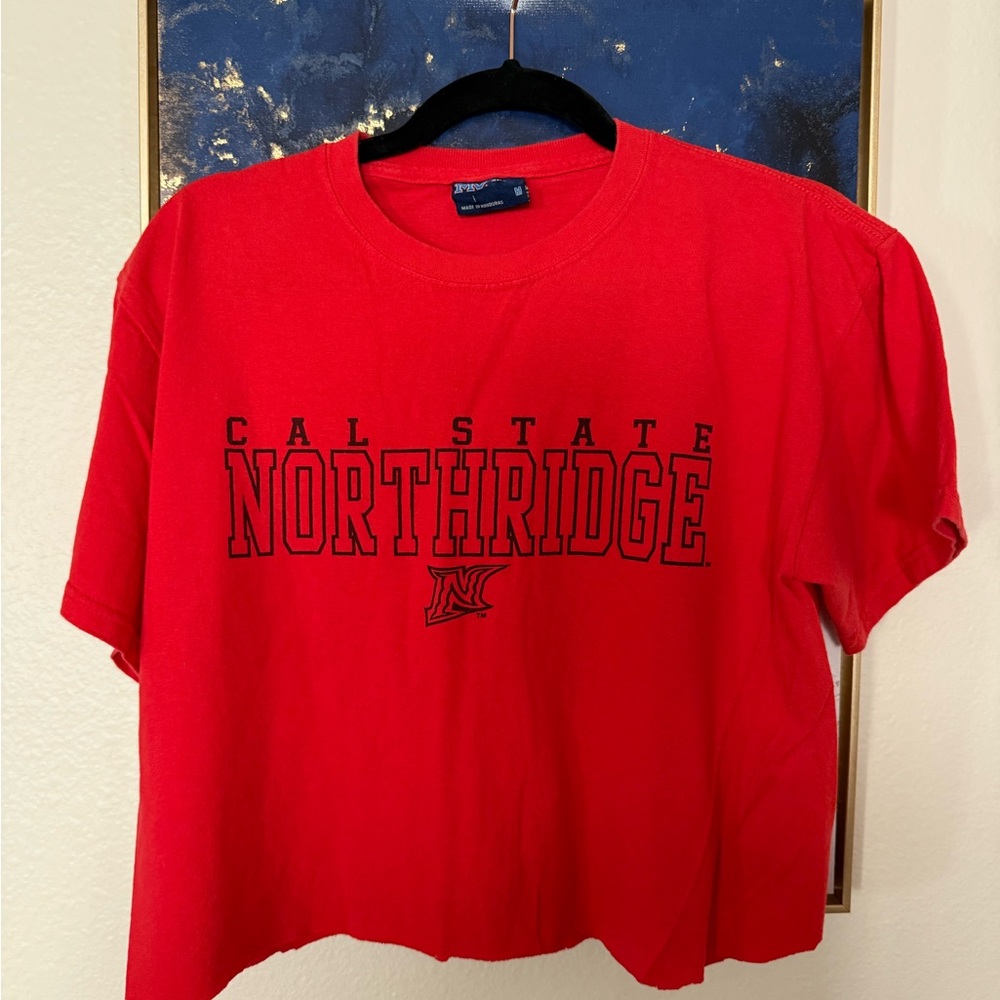 CSUN crop top